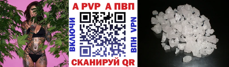 МЕФ Сальск