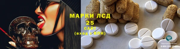 spice Арсеньев