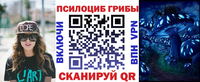 кракен онион  Сальск  Галлюциногенные грибы мицелий 